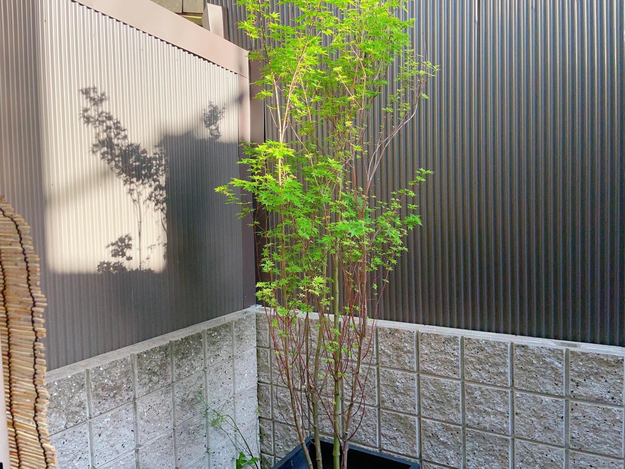 Suikakan Heianjingumae 酔花間 Kioto Exterior foto
