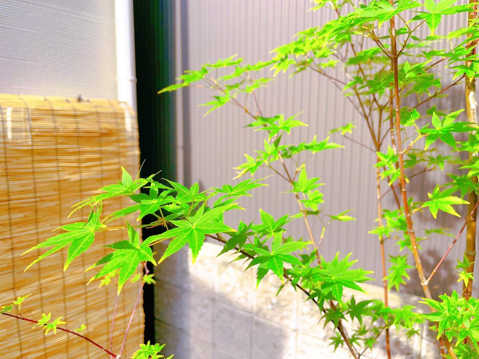 Suikakan Heianjingumae 酔花間 Kioto Exterior foto